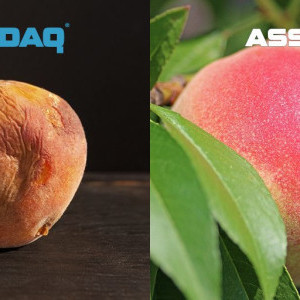 assdaq meme
