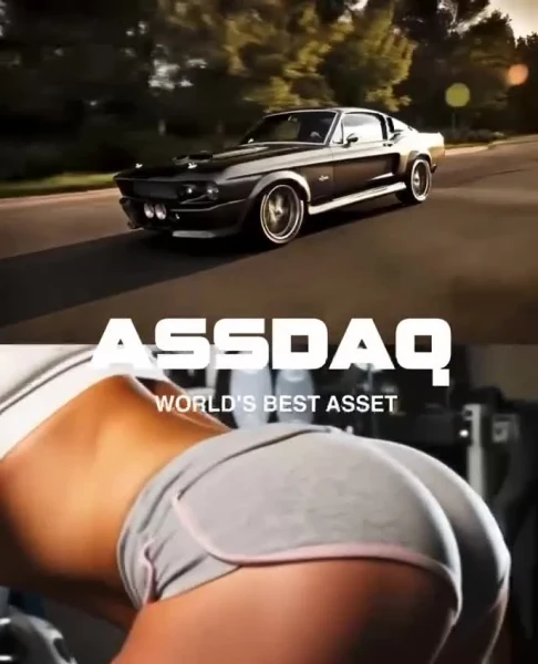 assdaq video